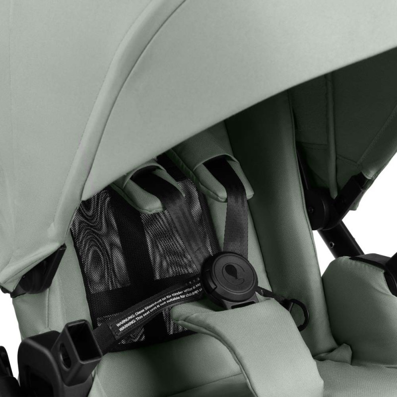 Прогулянкова коляска ABC design Samba 2 Pine