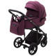 Універсальна коляска 2 в 1 Adamex Porto Light Tip бордовий