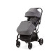 Прогулянкова коляска Adamex Tino graphite