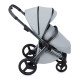 Універсальна коляска 2 в 1 Anex LT-10 frost