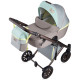 Універсальна коляска 2 в 1 Anex E type x Wilson Innovation Special edition wilson