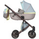 Універсальна коляска 2 в 1 Anex E type x Wilson Innovation Special edition wilson