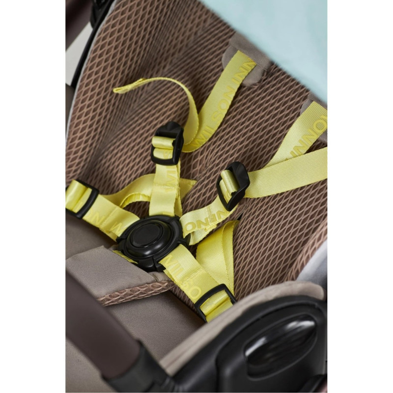 Універсальна коляска 2 в 1 Anex E type x Wilson Innovation Special edition wilson