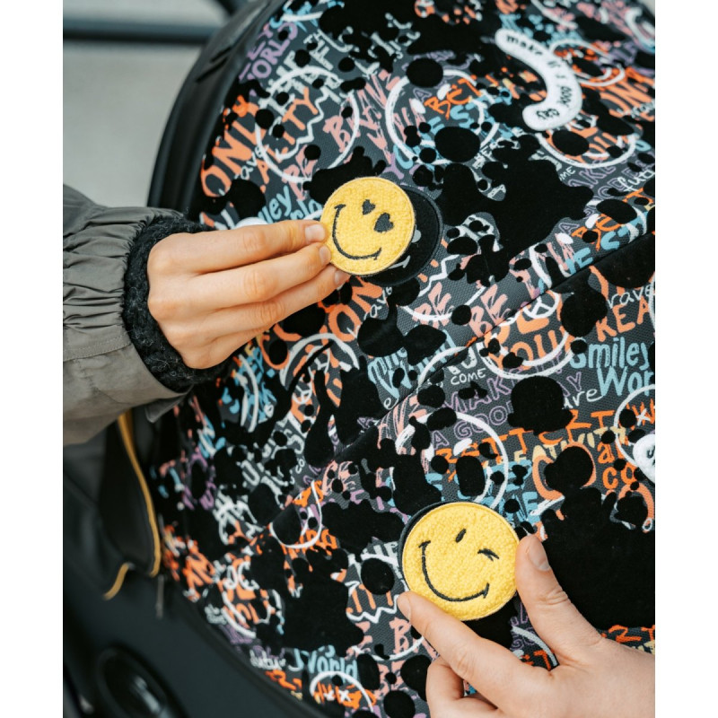 Універсальна коляска 2 в 1 Anex E type x Smiley World Special edition art