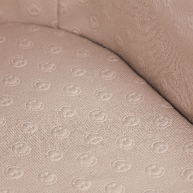 Універсальна коляска 2 в 1 Anex E type x Smiley World Special edition joy