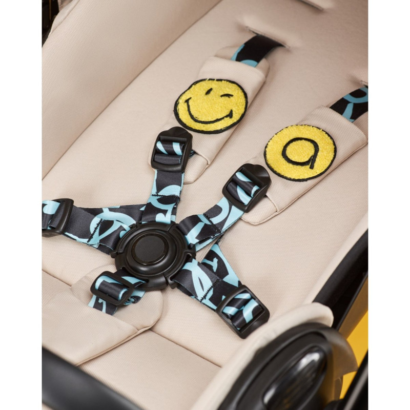 Універсальна коляска 2 в 1 Anex E type x Smiley World Special edition joy