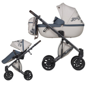 Універсальна коляска 2 в 1 Anex E type Special edition eden