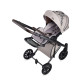 Універсальна коляска 2 в 1 Anex E type Special edition eden