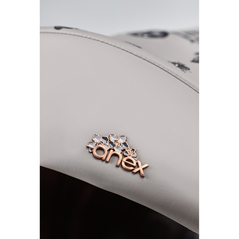 Універсальна коляска 2 в 1 Anex E type Special edition eden