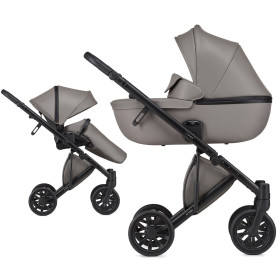 Універсальна коляска 2 в 1 Anex E type luna