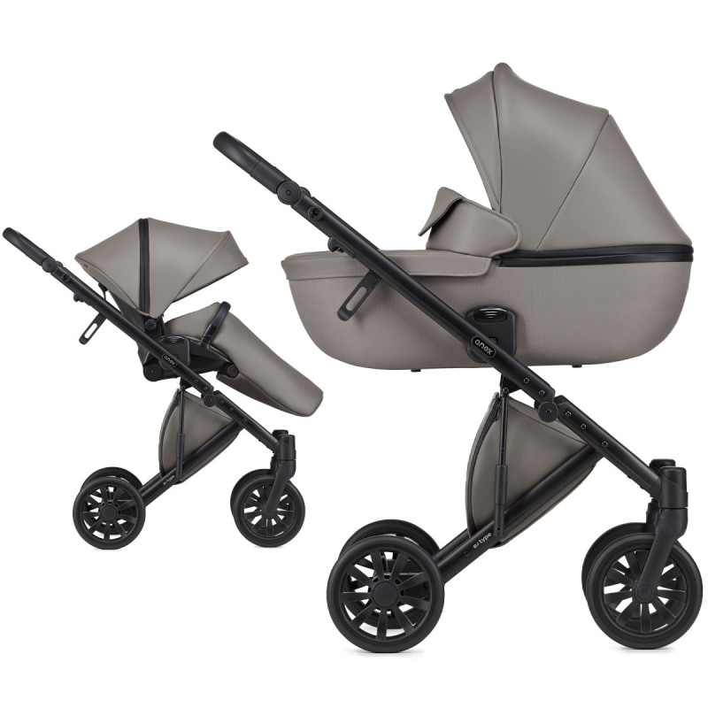 Універсальна коляска 2 в 1 Anex E type luna