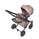 Універсальна коляска 2 в 1 Anex E type pixie