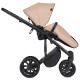 Універсальна коляска 2 в 1 Anex M type coral