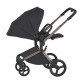 Універсальна коляска 2 в 1 Anex FLO solo