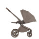 Універсальна коляска 2 в 1 Anex FLO yuki