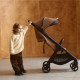 Універсальна коляска 2 в 1 Anex IQ Basic sienna