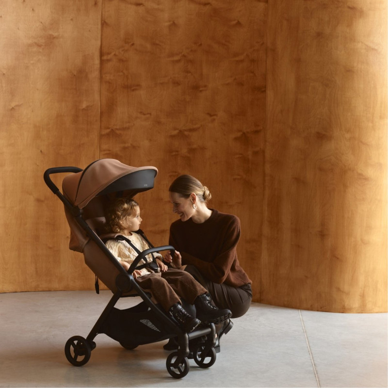 Універсальна коляска 2 в 1 Anex IQ Basic sienna