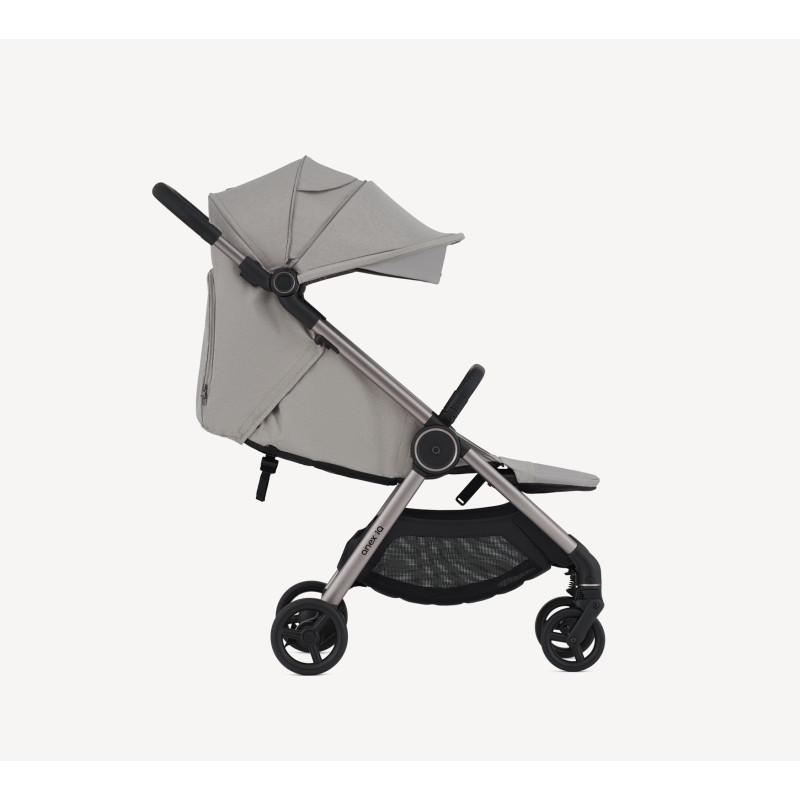 Універсальна коляска 2 в 1 Anex IQ iq-19 Silve