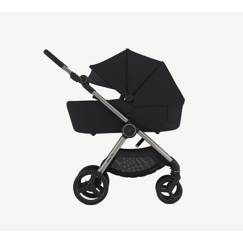 Універсальна коляска 2 в 1 Anex IQ iq-20 Darke