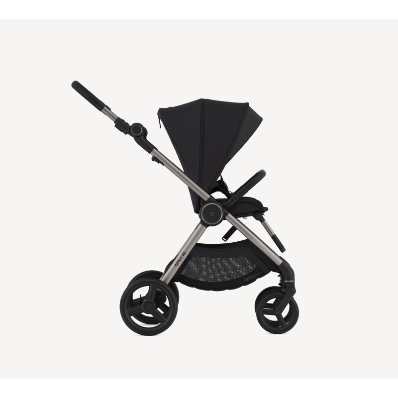 Універсальна коляска 2 в 1 Anex IQ iq-20 Darke