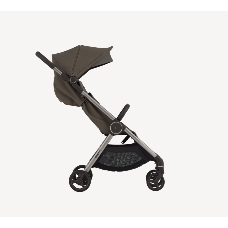 Універсальна коляска 2 в 1 Anex IQ iq-21 Bruna
