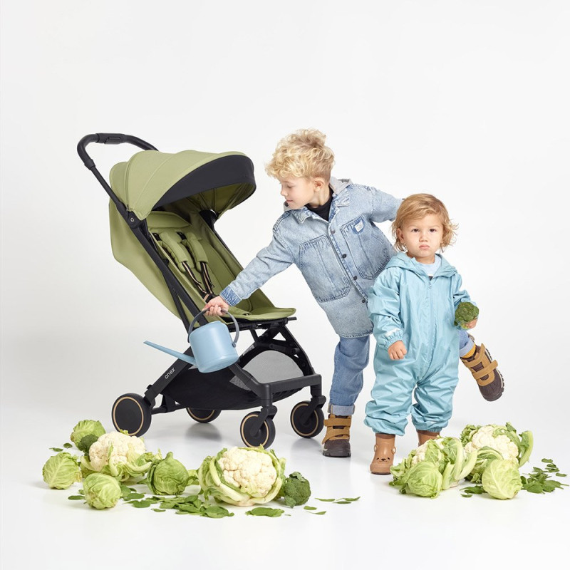 Прогулянкова коляска Anex 6 AIR-X2 AX2-03 VERT арт.8885020502411, т.м