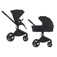 Універсальна коляска 2 в 1 Anex FLO fl-05с Lungo