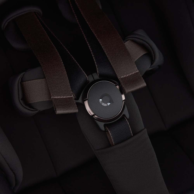 Універсальна коляска 2 в 1 Anex FLO fl-05с Lungo