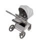 Універсальна коляска 2 в 1 Anex FLO frossy