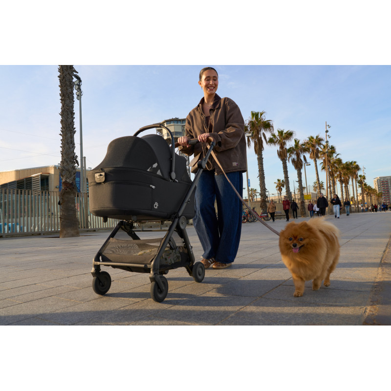 Дощовик Anex AIR-Q Buggy Raincover AQ/AC-R01