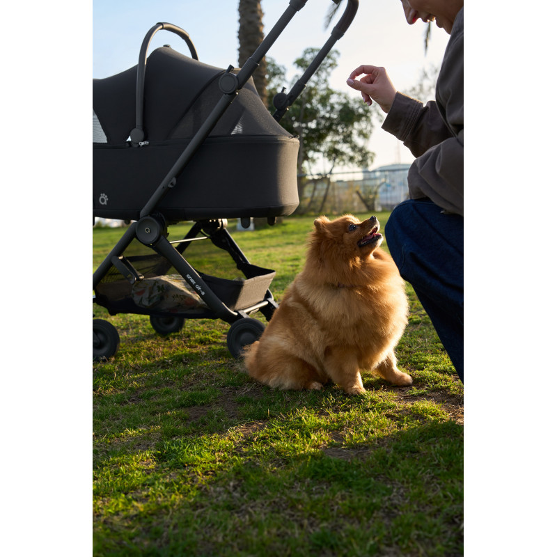 Дощовик Anex AIR-Q Buggy Raincover AQ/AC-R01