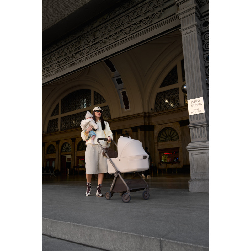 Дощовик Anex AIR-Q Buggy Raincover AQ/AC-R01