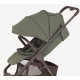 Прогулянкова коляска Anex Ride Stroller Brown Frame Freshy RD-03