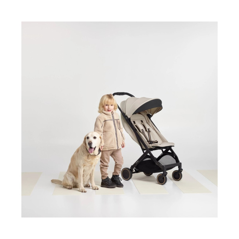 Прогулянкова коляска Anex Air-X 2 - SHIRO