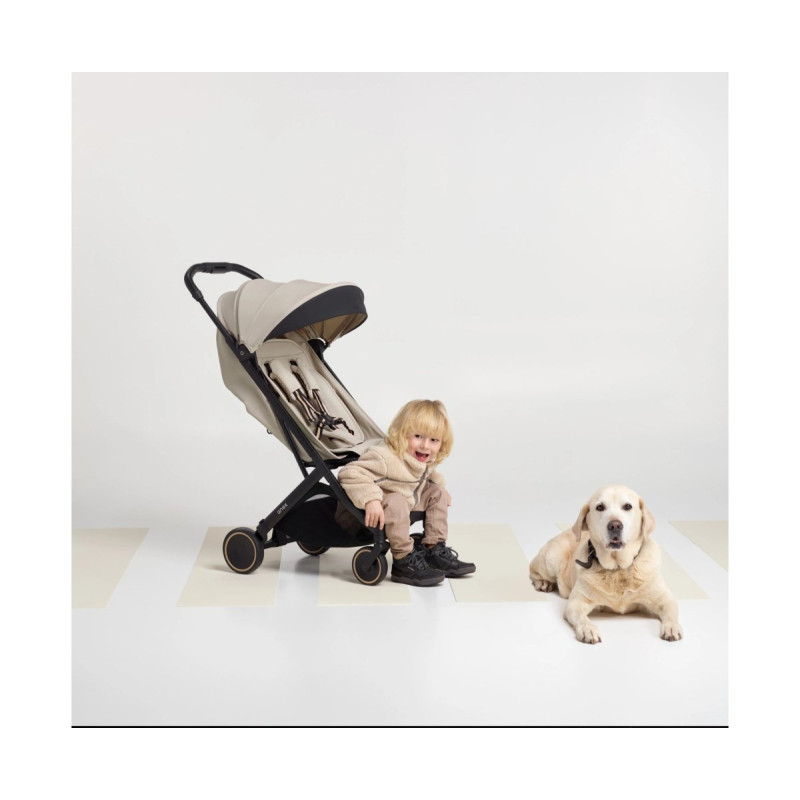 Прогулянкова коляска Anex Air-X 2 - SHIRO