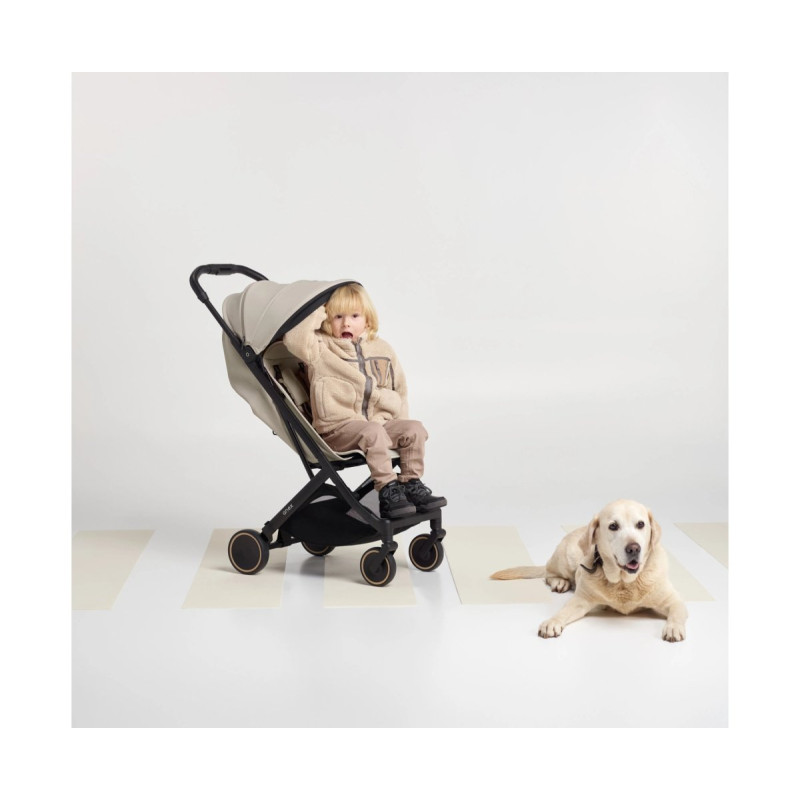 Прогулянкова коляска Anex Air-X 2 - SHIRO