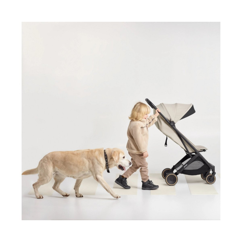 Прогулянкова коляска Anex Air-X 2 - SHIRO