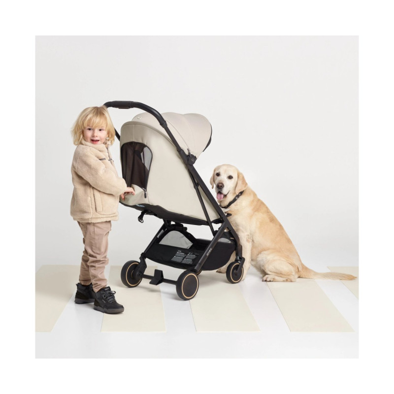 Прогулянкова коляска Anex Air-X 2 - SHIRO