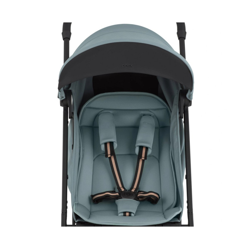 Прогулянкова коляска Anex Air-X 2 - SKY