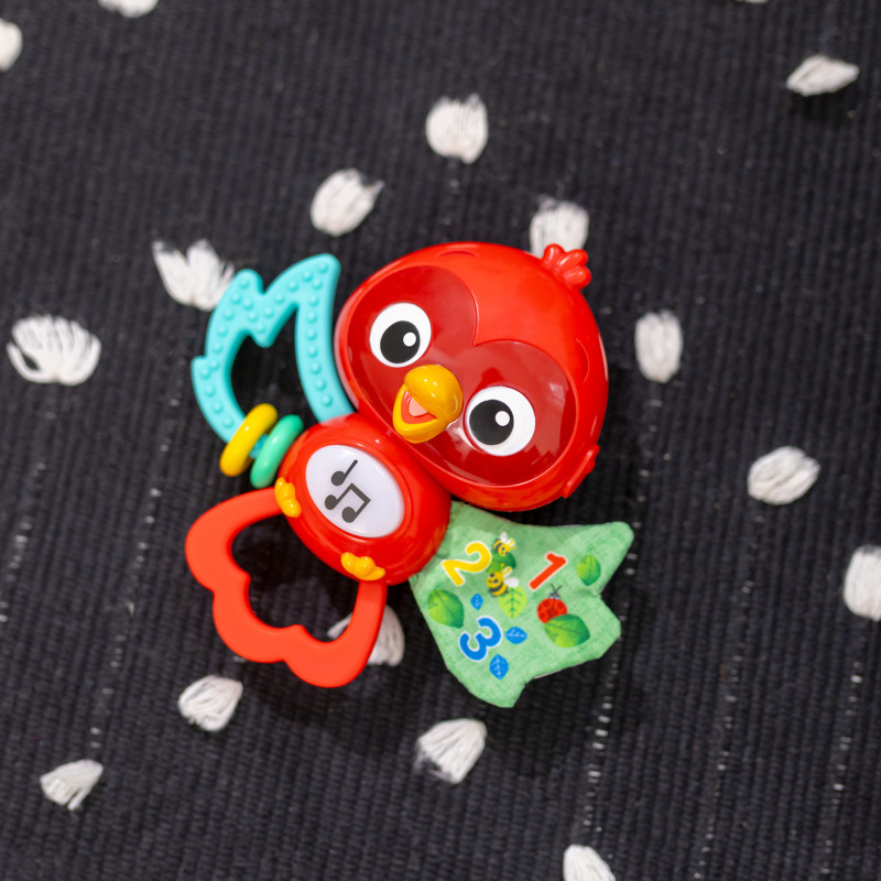 Музичне брязкальце Baby Einstein Roxys Bright Flight