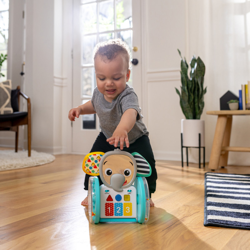 Музична іграшка Baby Einstein Chase & Tap Earl