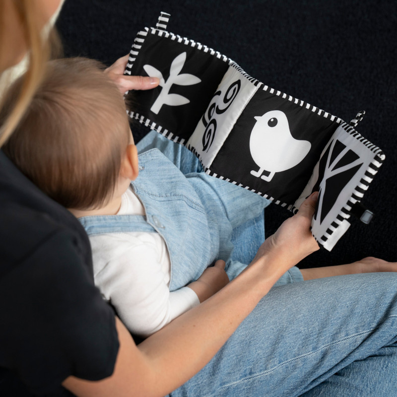 Розвиваюча мяка книжка Baby Einstein Counting at the Farm