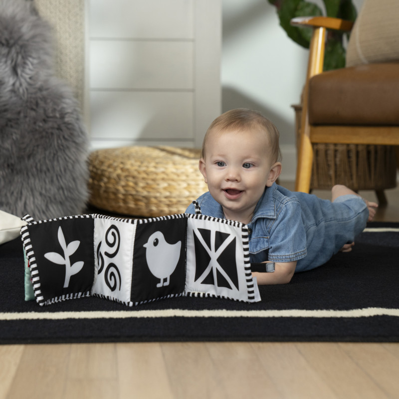 Розвиваюча мяка книжка Baby Einstein Counting at the Farm