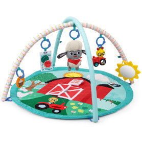 Розвиваючий килимок Baby Einstein Happy Harvest