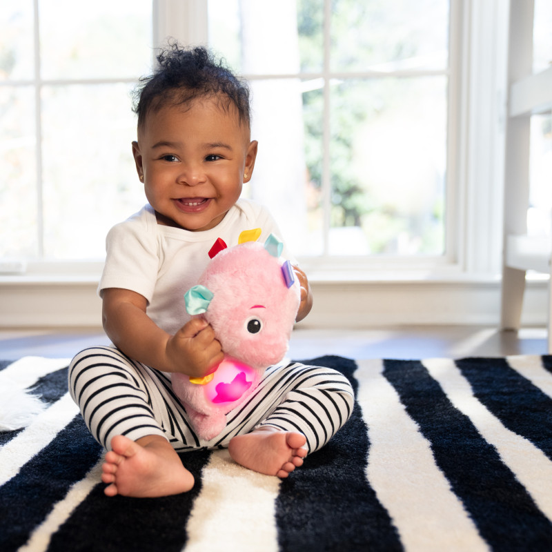 Мяка музична іграшка Baby Einstein Sea Dreams Seahorse Pink