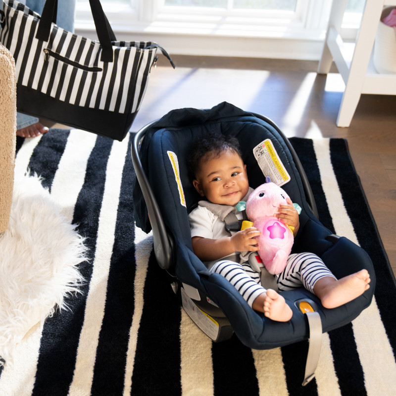 Мяка музична іграшка Baby Einstein Sea Dreams Seahorse Pink