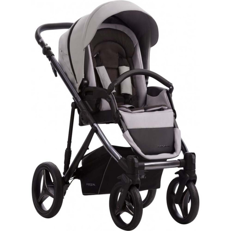 Універсальна коляска 2 в 1 Bebetto Pascal Premium stela 01