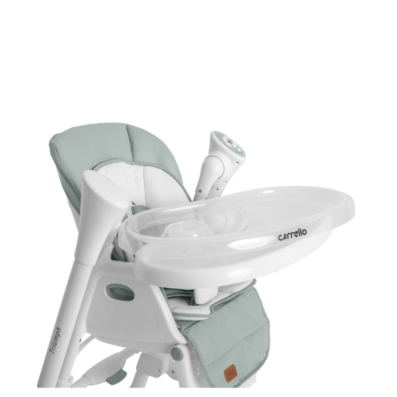 Стілець CARRELLO гойдалка Triumph CRL-10302 / Olive Green /1/ MOQ