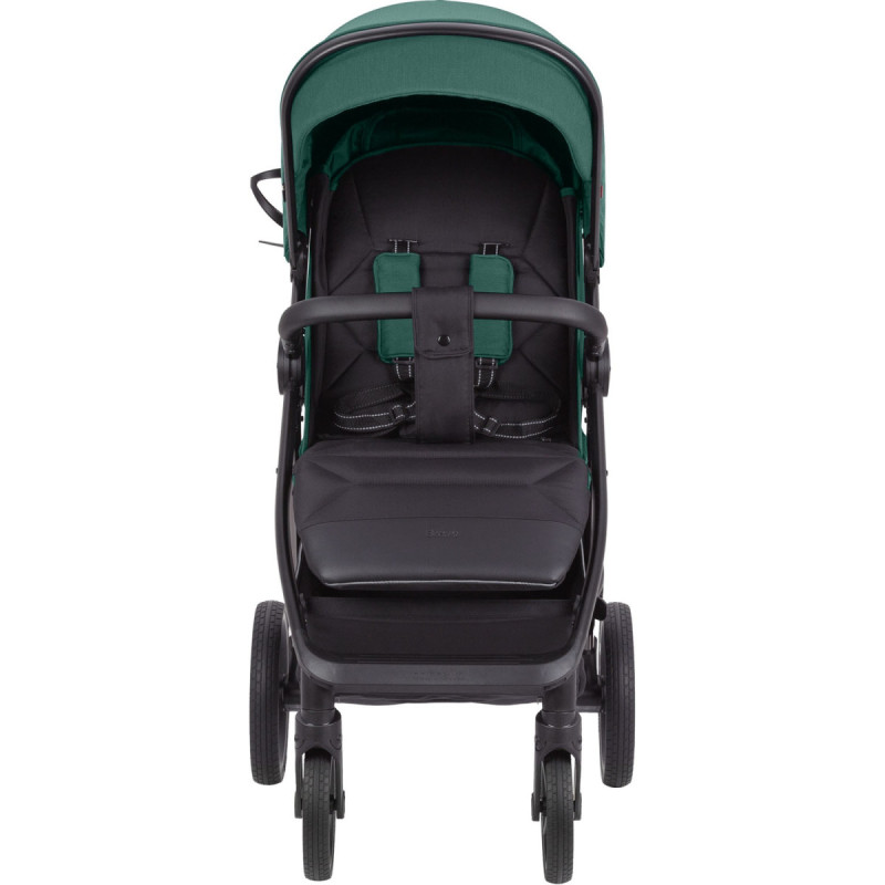 Прогулянкова коляска CARRELLO Bravo CRL-5515 Palm Green 2024 NF /1/