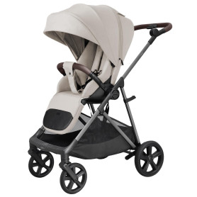 Прогулянкова коляска CARRELLO Costa CRL-5534 Cloud Grey /1/